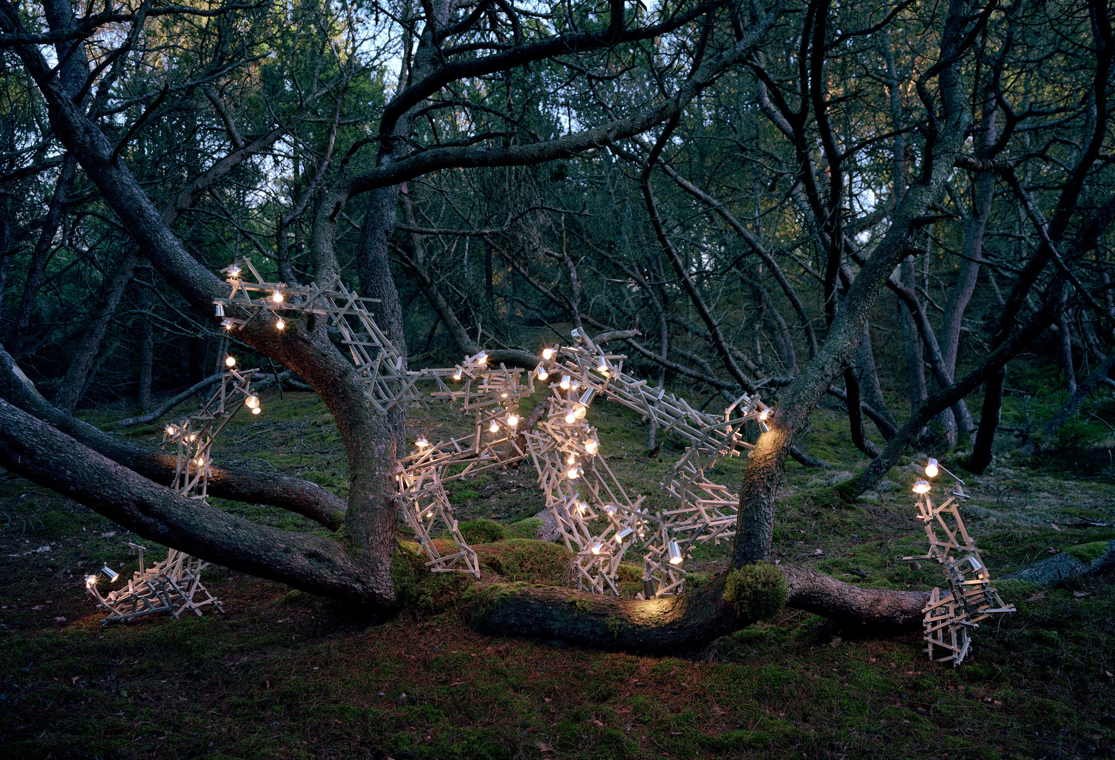 GUNETM0067_Ferociously_conjunction_towards_limitations-NbFlfIgs