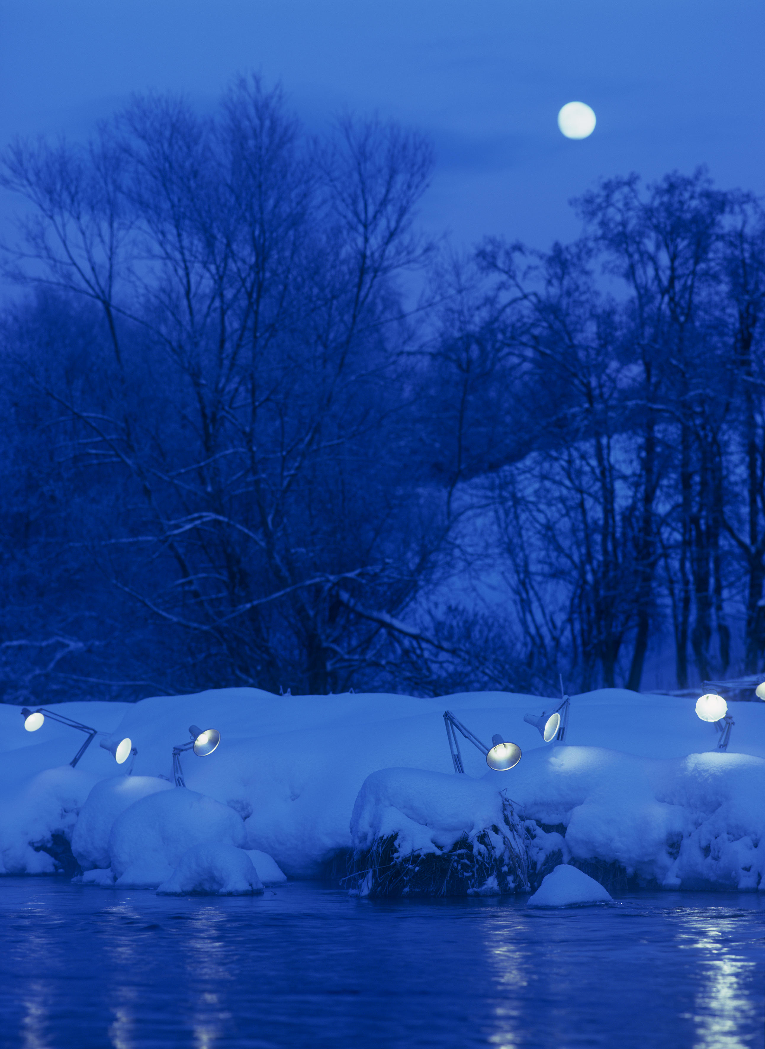 GUNETM0092-Gravitational force