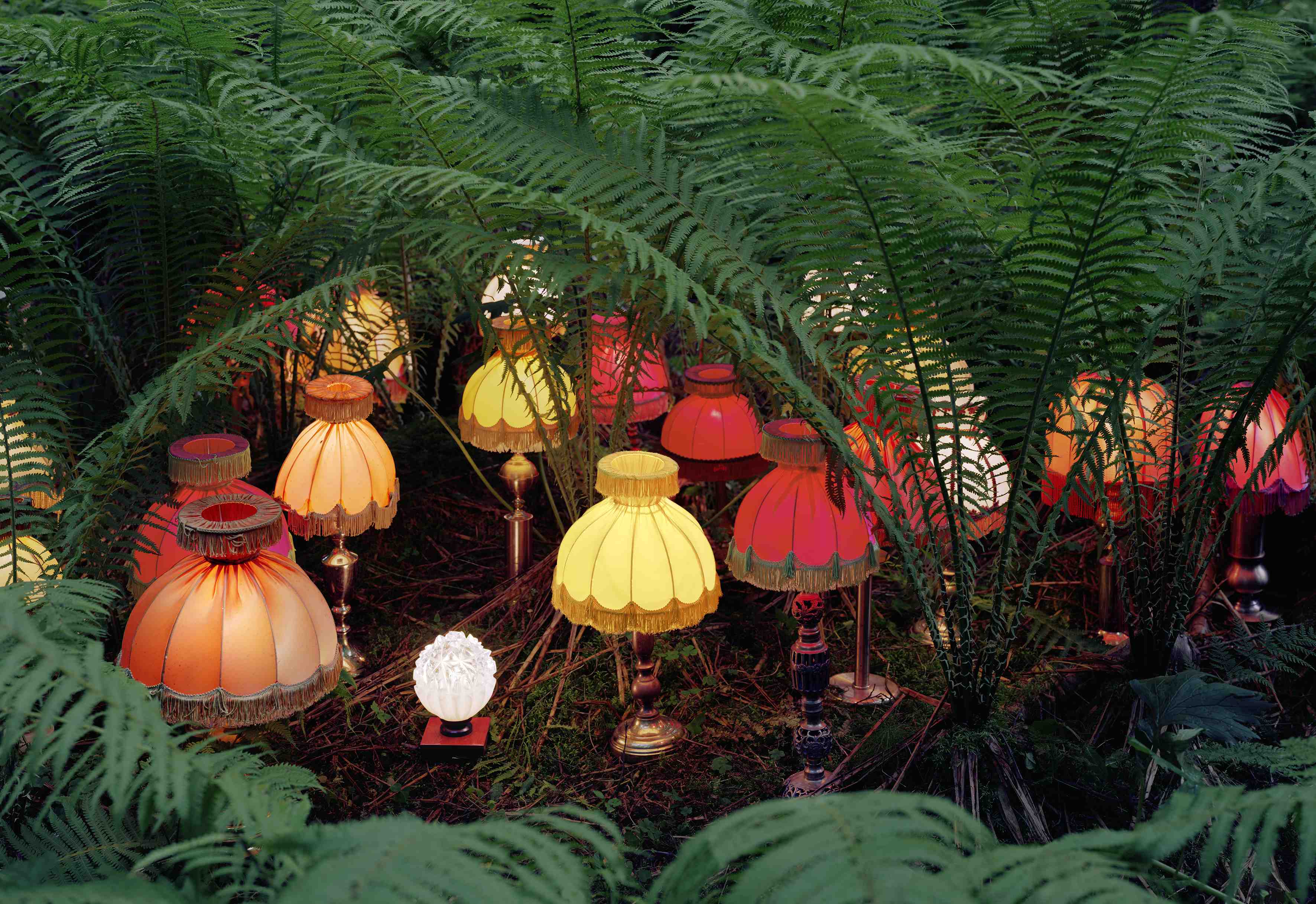 GUNETM0095-The beauty of the elderly