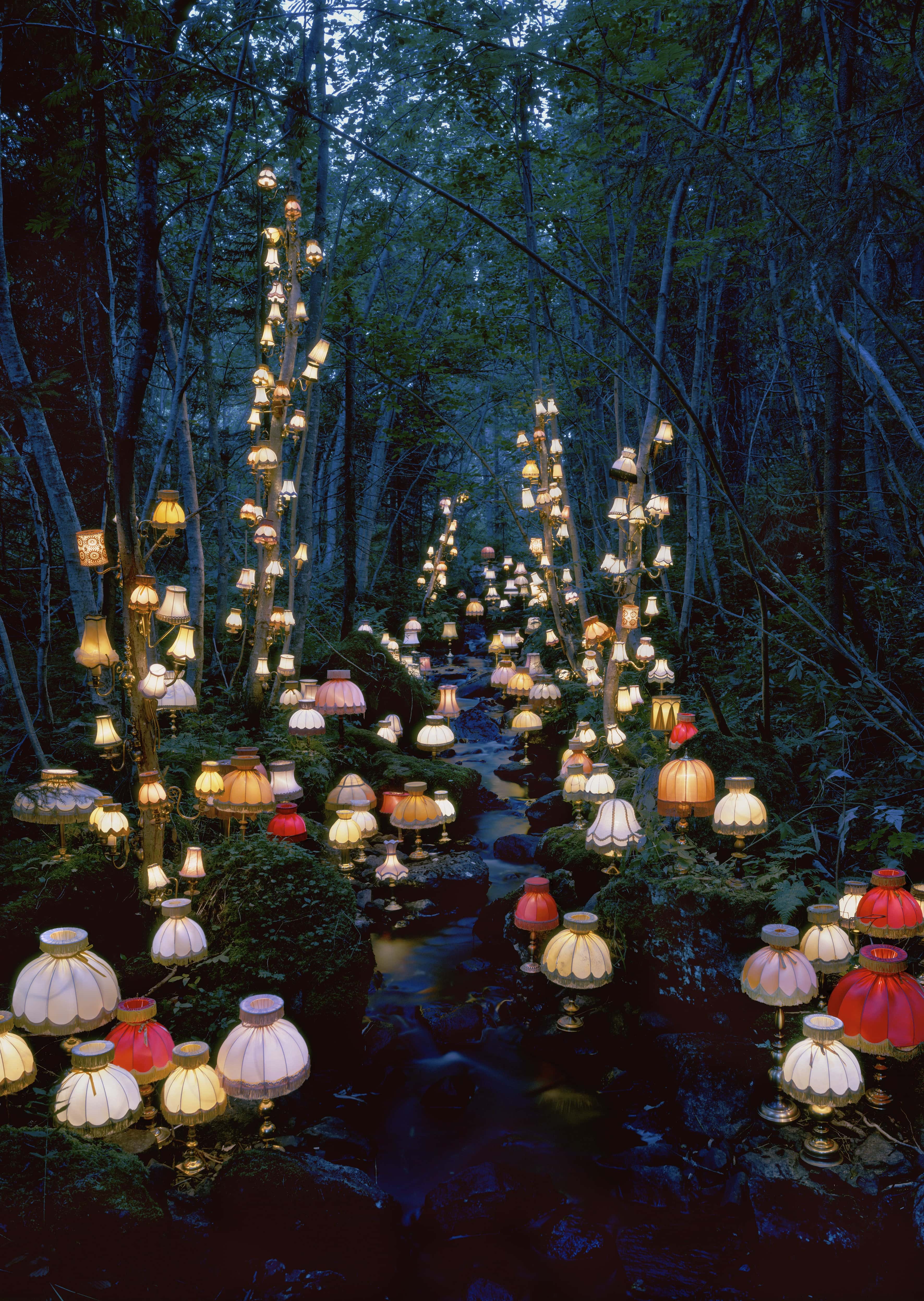 GUNETM0097il_Corvo_surla_ulle_pianure-dYBlfIgs